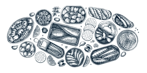 Hand drawn canned fish illustrations collection. Sardines, anchovy, mackerel, tuna, mussels in tin cans, fish canapes, olives, crackers and lemons sketches set in engraved style. Table view design